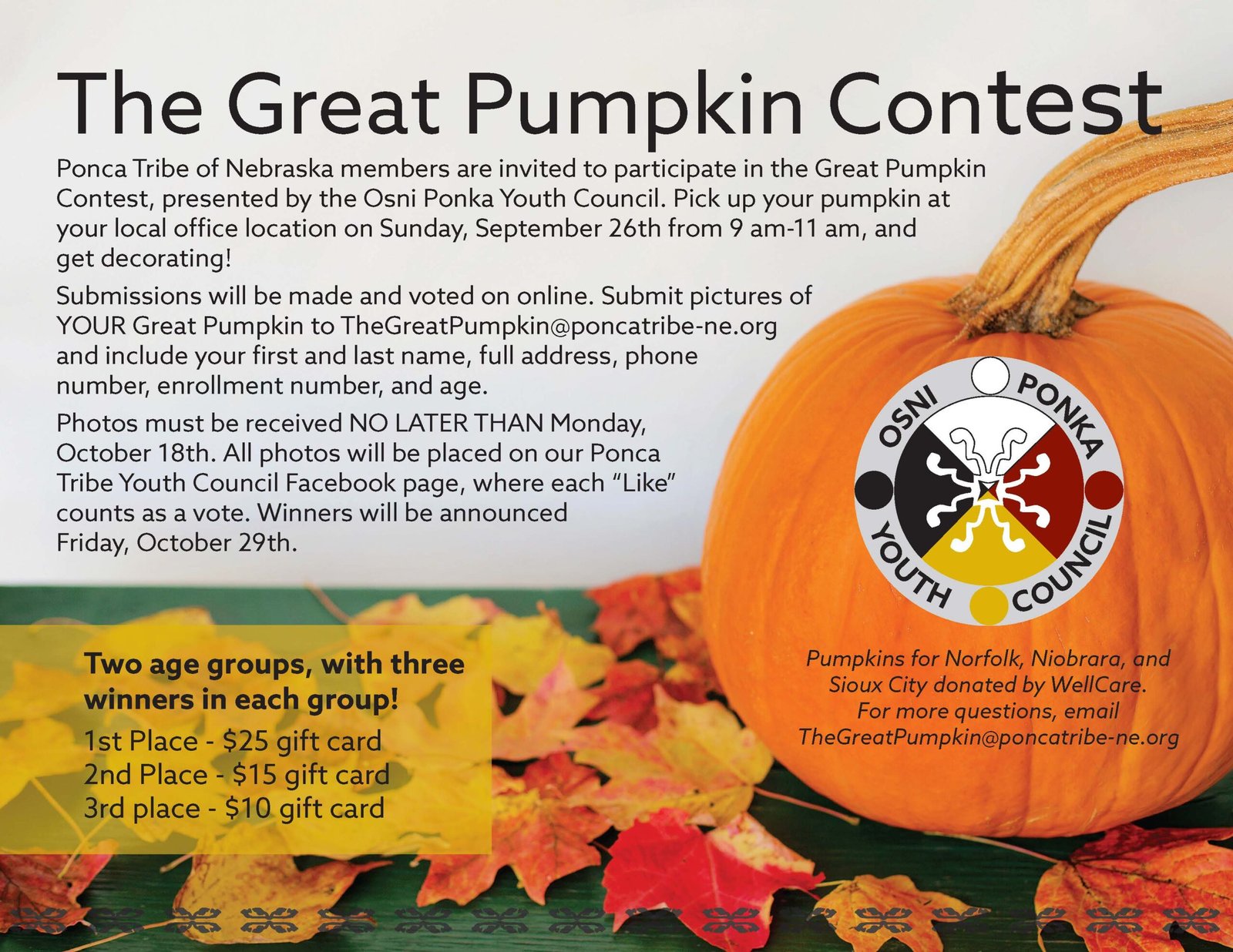 The Great Pumpkin Contest