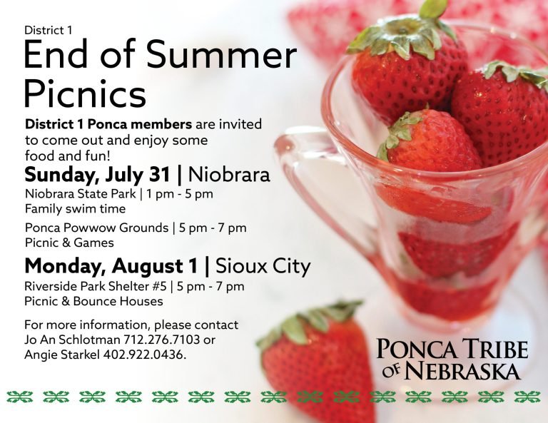 District 1 End of Summer Picnic – Sioux City