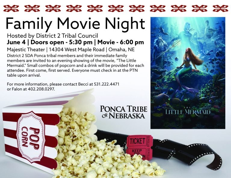 District 2 Family Movie Night