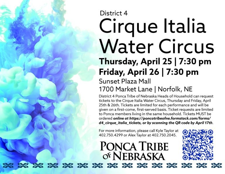 District 4 Cirque Italia Water Circus